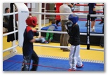 Energy Fight Club
